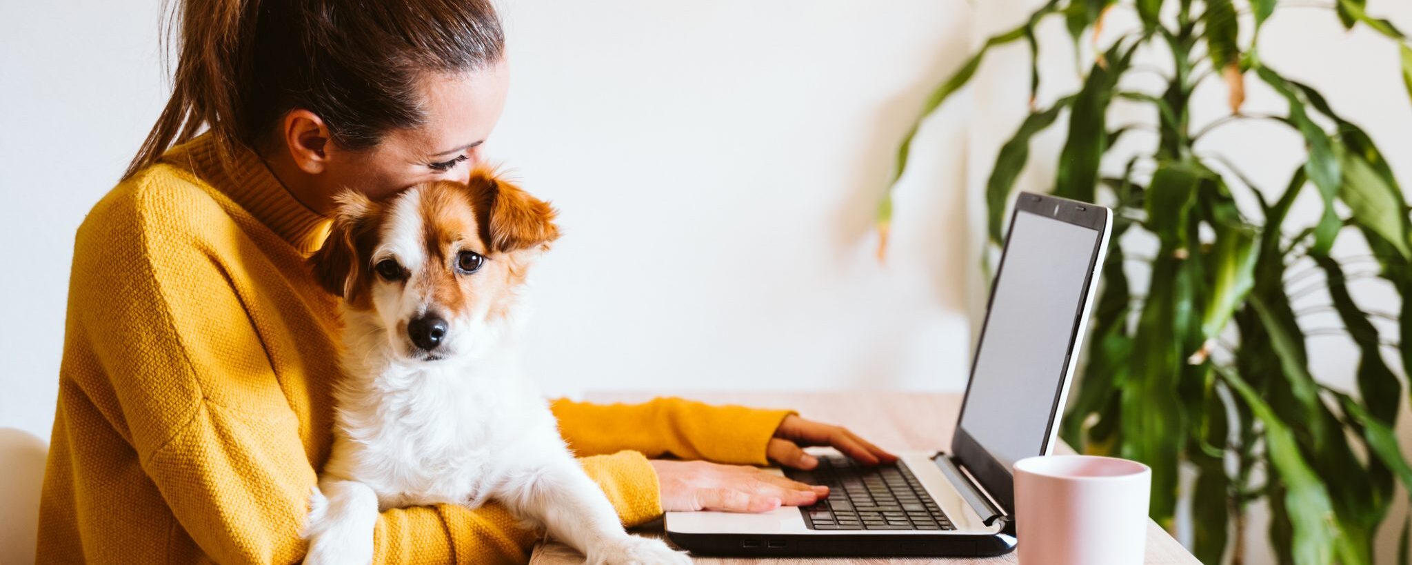 Webinar & whitepaper breinvriendelijk werken