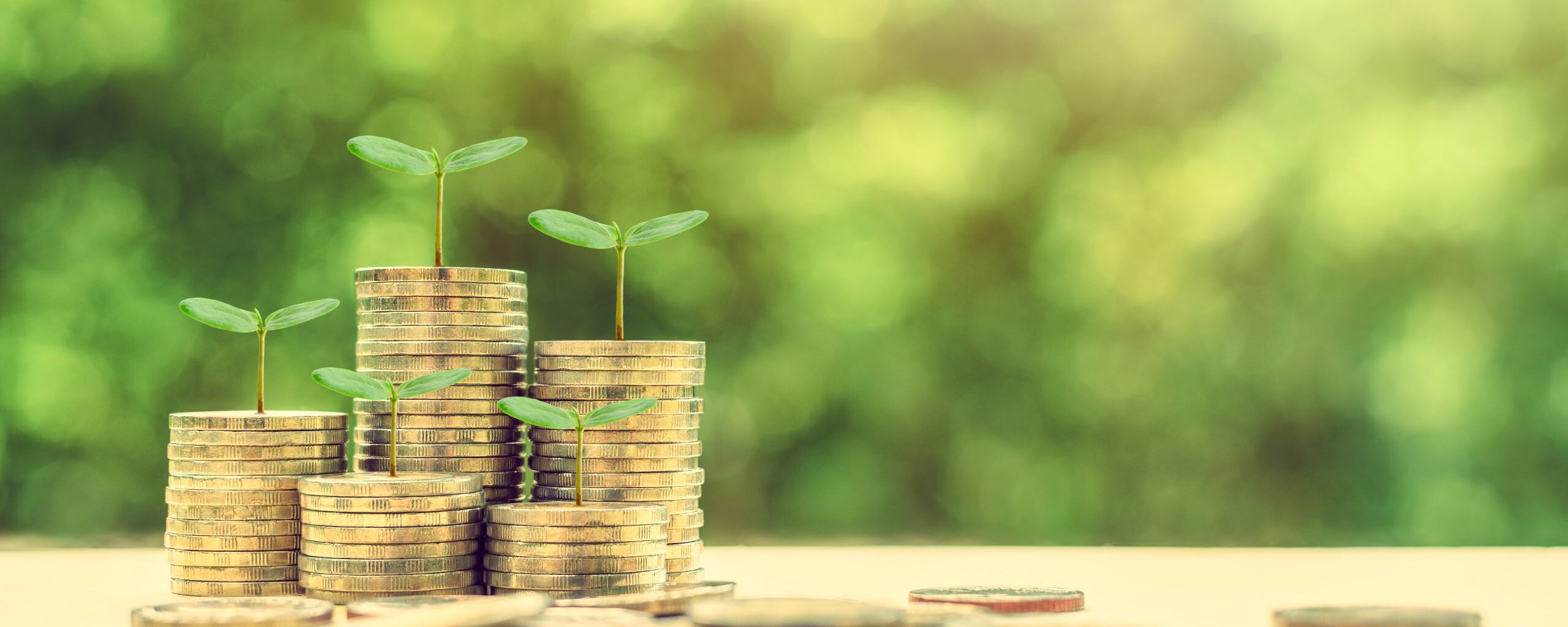 Saving money: here are some tips!
