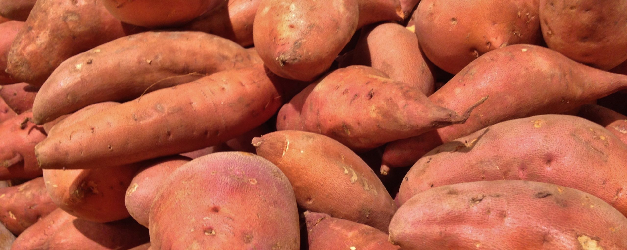 A lentil – sweet potato dish